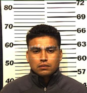 Jesus Salvador Castillo