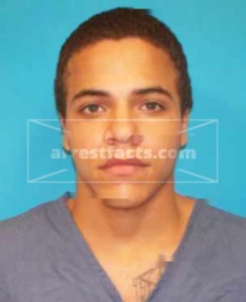 Gregory F Shumer
