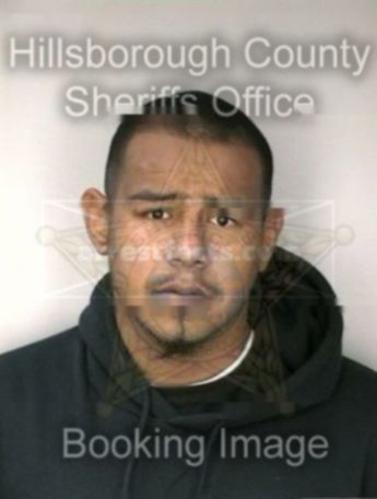 Julian Sanchez
