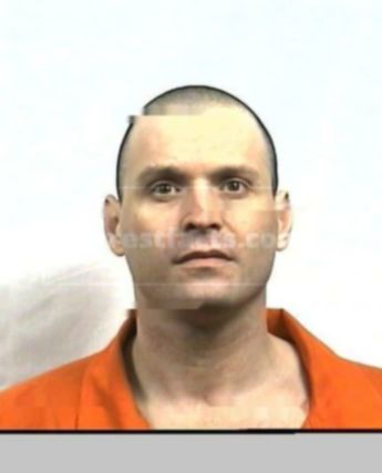 Timothy G Pooler