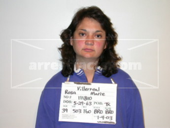 Rosa Marie Villerreal