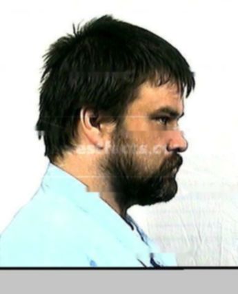 David A Bassett