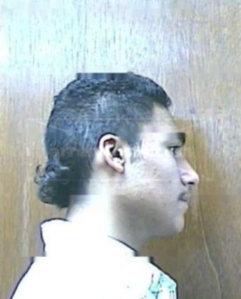 Domingo J Canizarez Jr.