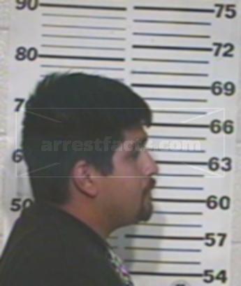 Julio Cesar Ramos Mendoza