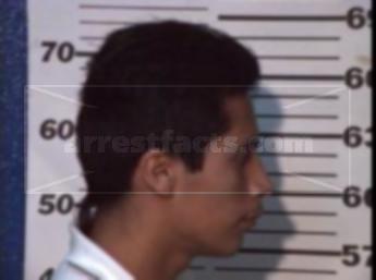 Luis Adrian Alvarez Hernandez
