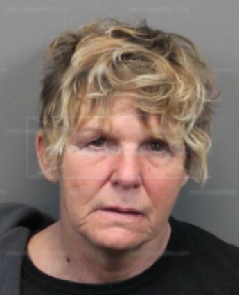Denise Leellen Carlson