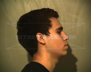 Andres Sergio Flores Lagos