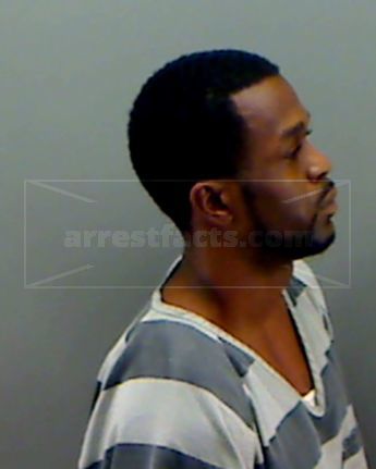 Jacoby Trent Shaw Stein