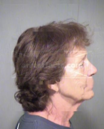 Nancy Elizabeth Craven