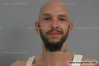 Daniel David Tiger