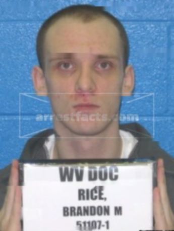 Brandon M Rice