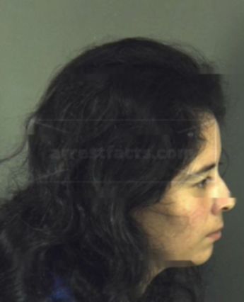 Lisa A Medina