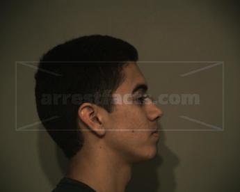 Mario Alberto Leija Villarreal