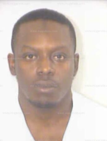 Wayne A Stewart