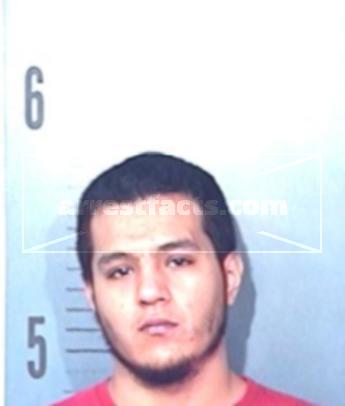 Gabriel Lee Flores