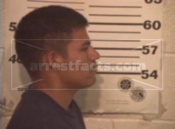 Luis Daniel Ibarra Zuniga