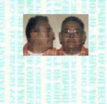 Vivian G Nogales
