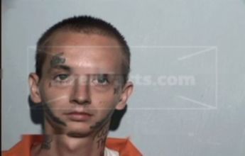 Dennis Francis Palicki
