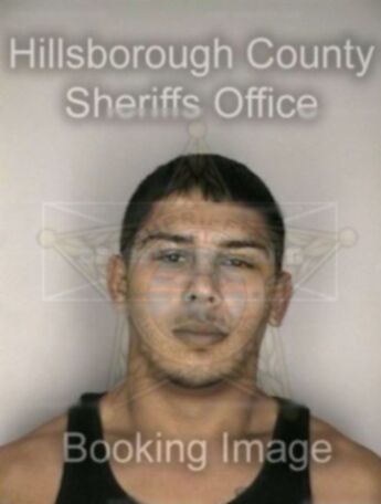 William J Silva