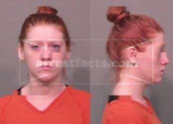 Megan Ryan Chapman