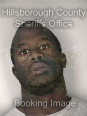 Devin D Webb