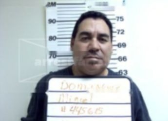 Miguel Angel Dominguez
