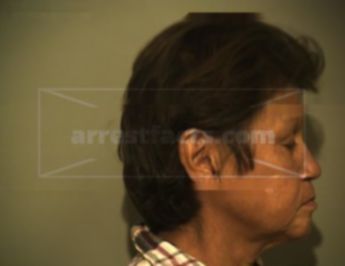 Maria Luisa Trevino Liscano