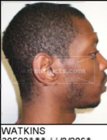 Decarlos Riselle Watkins