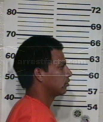 Juan Jesus Flores Garza