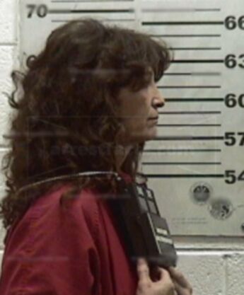 Diane M Mendez