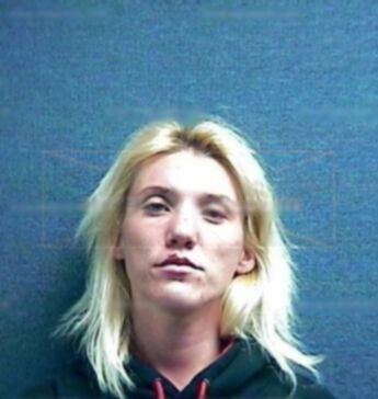 Holly L Risner