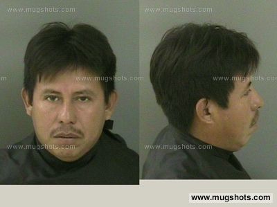 Marcelo Hernandez Hernandez