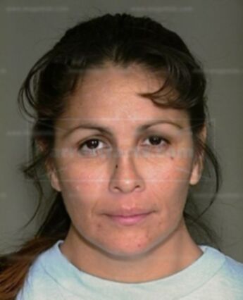 Teresa M Zaragoza