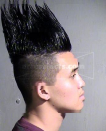 Ryan Le