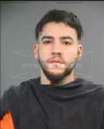 Logan Mitchell Hansen