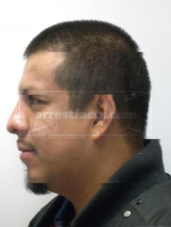 Luis E Ponce-Ascencio