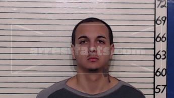 Dante Delray Vecera