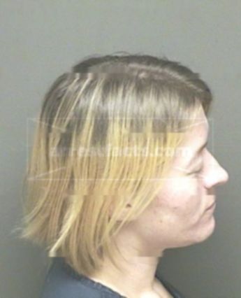 Melissa Louise Robinson