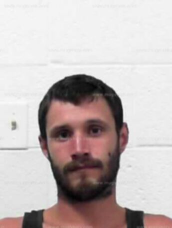 Christopher Robert Haynes