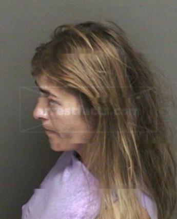 Jennie Ann Carlisle