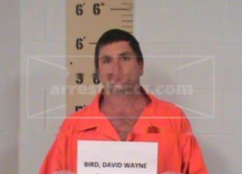 David Wayne Bird