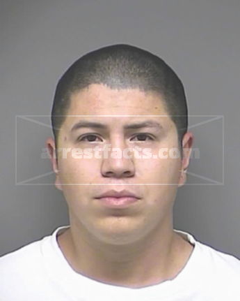 Stephen Louis Vargas