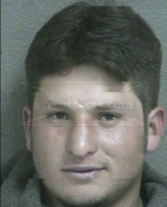 Robin Galicia Alexander