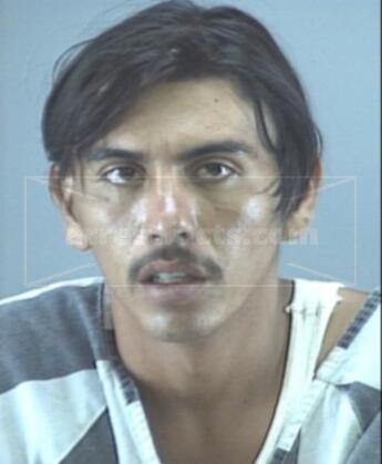 Jose Francisco Flores-Garcia