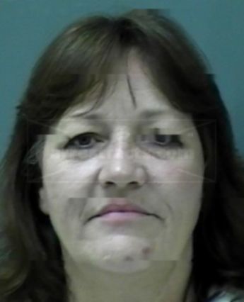 Michele Ann Hozey