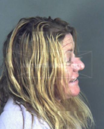 Carol A Dorner