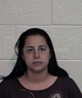 Briseidi Silva Alaniz