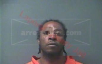 Timothy J Lewis
