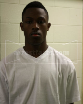 Matthew T Watkins
