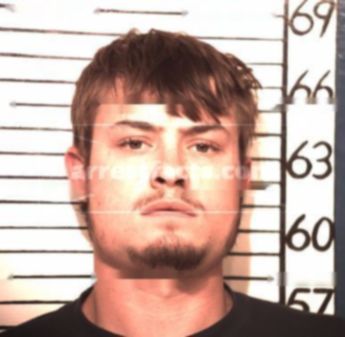 Taylor Henry Brandes
